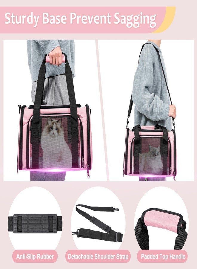 Discala Cat Dog Carrier Up to 15 Lbs TSA Airline Approved Pet Carrier for Small Medium Cats Puppies Dog Carriers for Small Dogs Collapsible Soft Sided Cat Travel Carrier - Pink 15.7"x10.2"x10.2" - Image 5